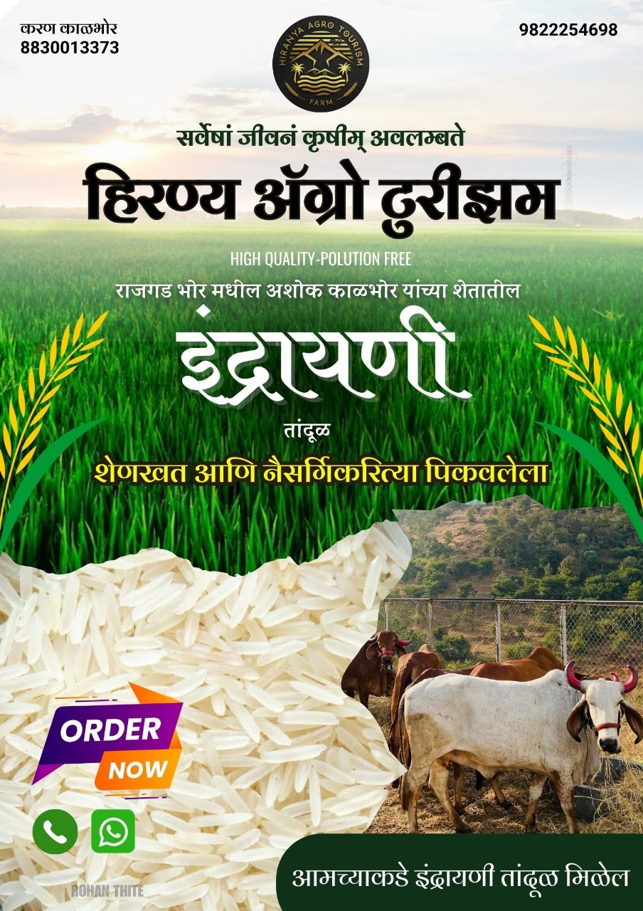 Rice Milk Poster 1